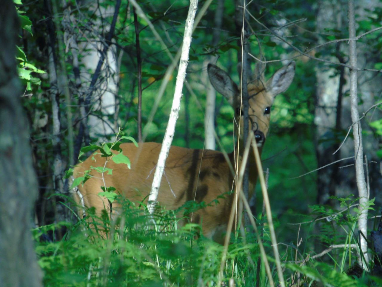 photo 2025 07 14 15 59 03