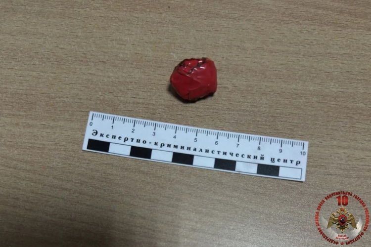 В Хабаровске сотрудники Росгвардии задержали гражданина, подозреваемого в незаконном хранении наркотических средств