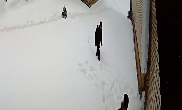 В Кирове замдиректора школы получил наказание за халатность, из-за которой пострадал ученик