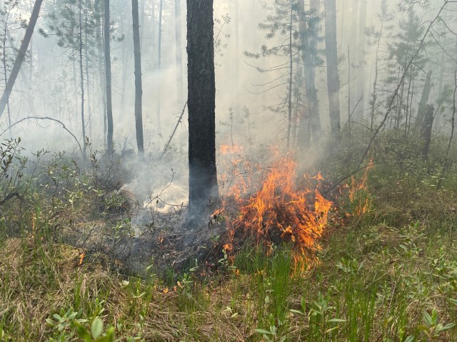 В поселке ХМАО подростки устроили лесной пожар