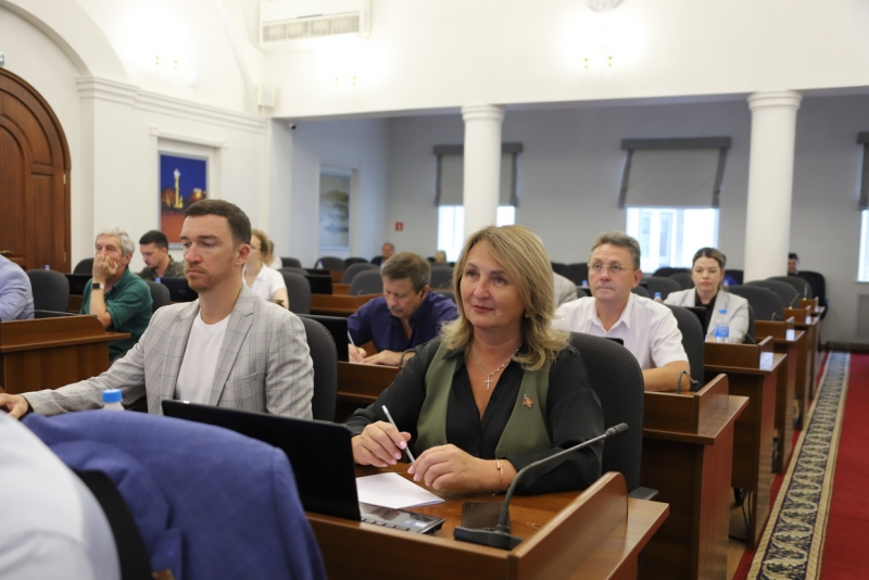 Депутаты проголосовали за приватизацию предприятия электрических сетей