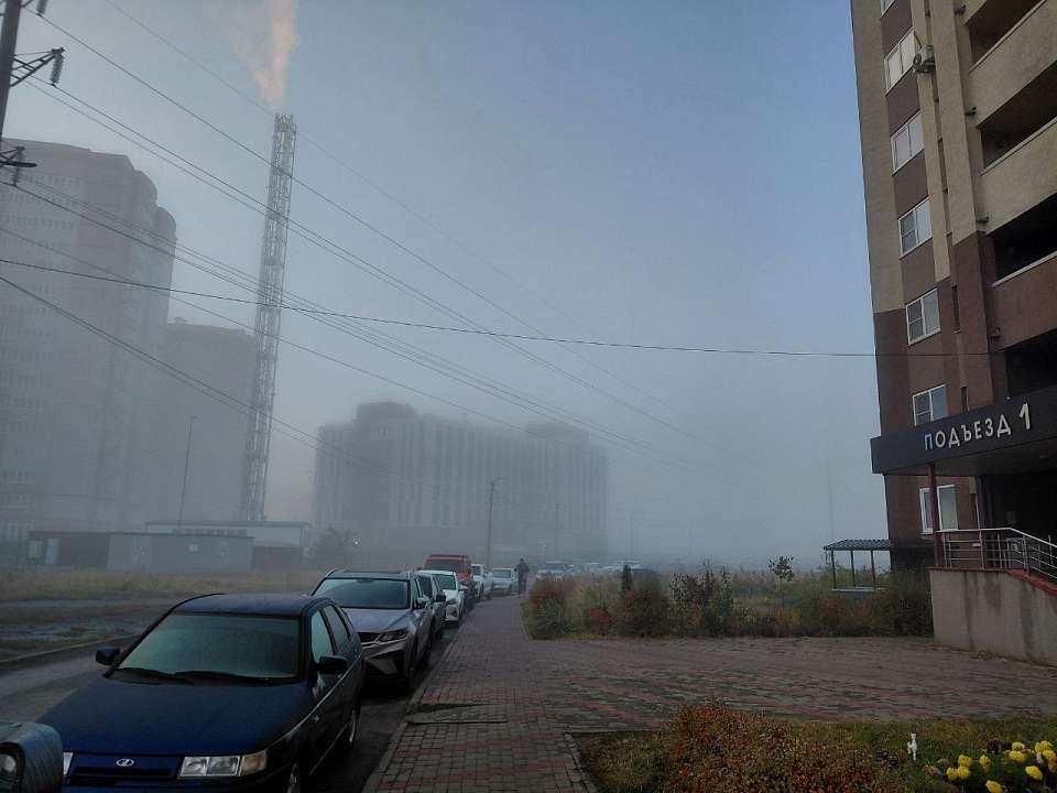 Днем 6 декабря воронежцев ожидает туман и температура до плюс двух градусов. 