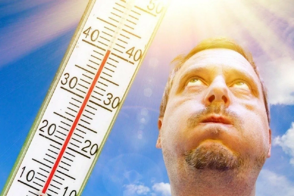 Экстремальная жара в Новороссийске приближается к рекорду 2010 года