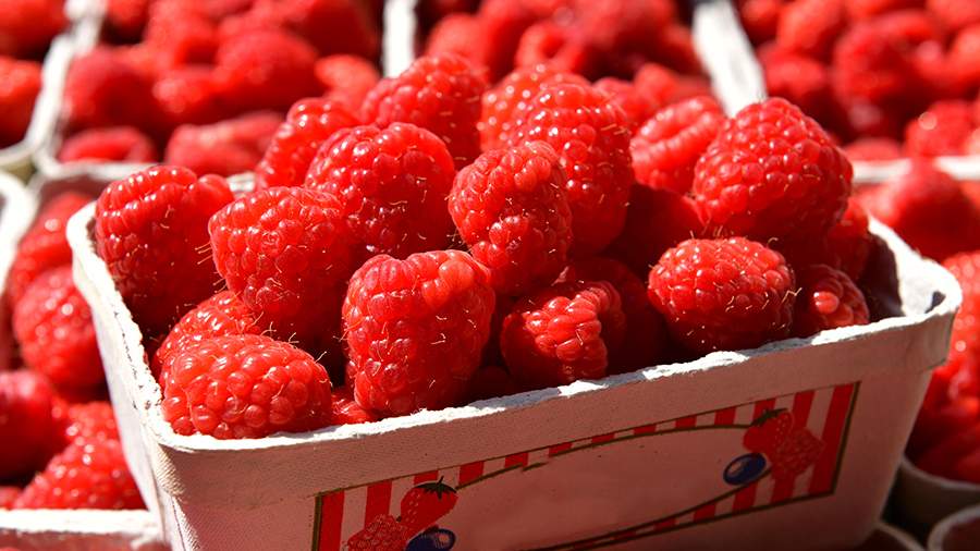 Малина относится к косточковым??. Малина польза. Малина здоровье. Пять малины. Малина.