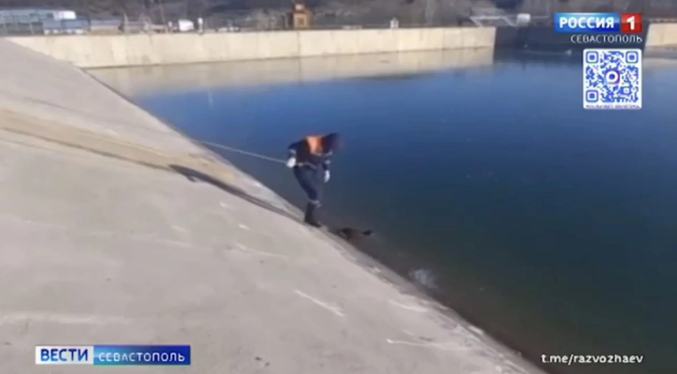 В Севастополе спасли трёх птиц на Бельбекском водозаборе></div><div class=