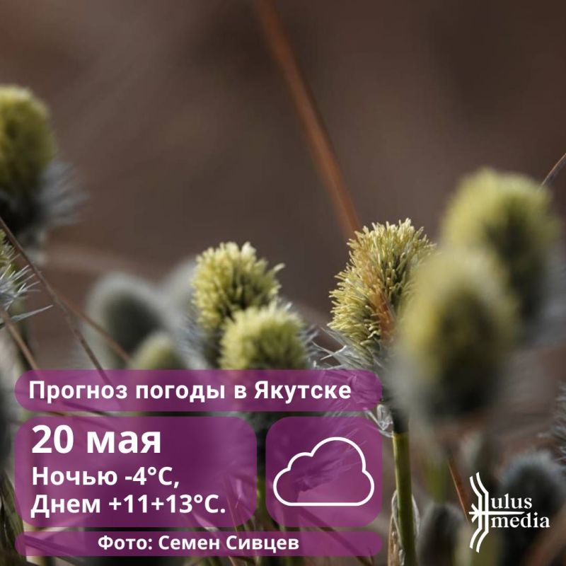 По данным ЯУГМС, завтра днем, 20 мая, в Мирнинском, Сунтарском и Ленском районах ожидаются дожди, местами ливни. 