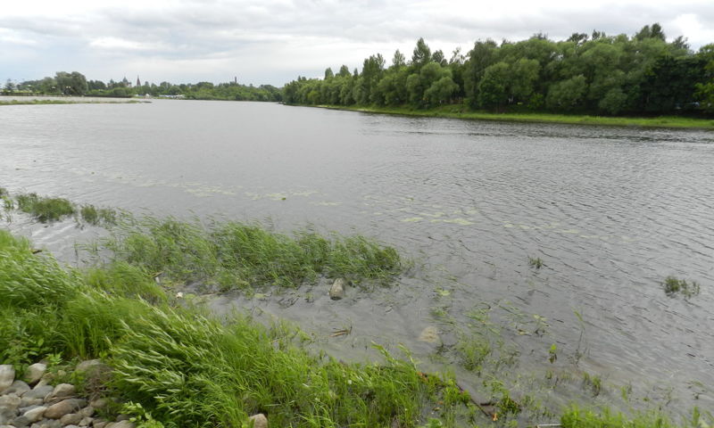 В Ярославской области утонул мужчина