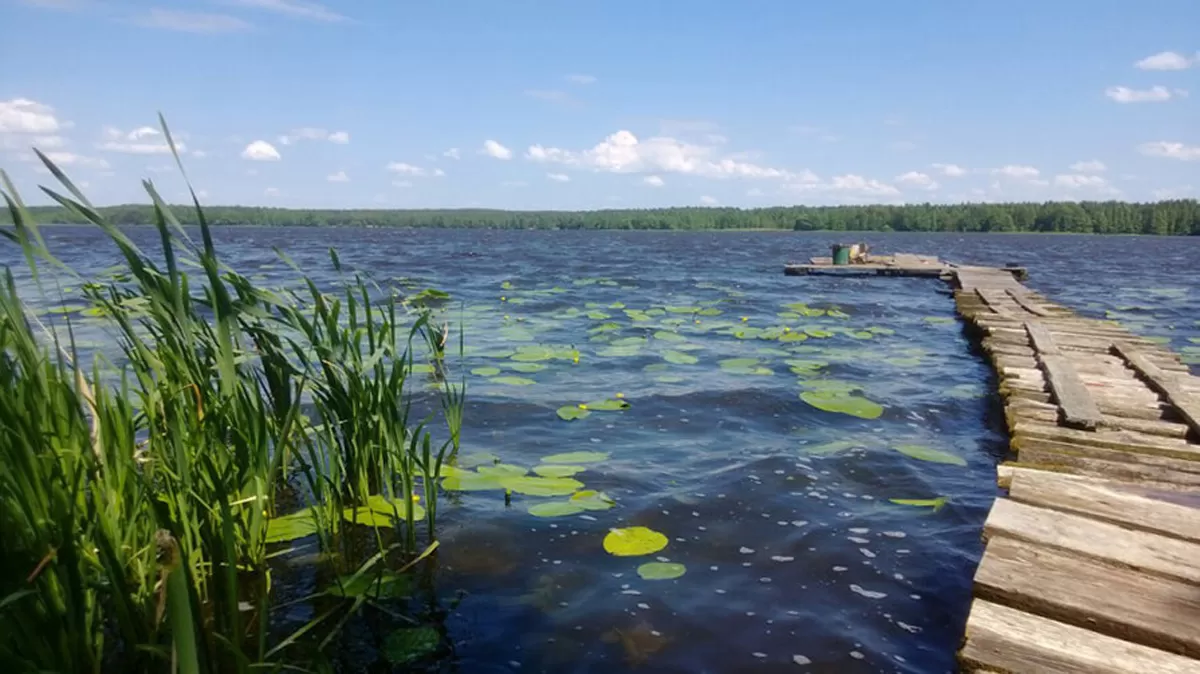 Область водохранилище. Чигиринское водохранилище. Чигиринское водохранилище в Белоруссии. Чигиринка Могилевская область. Озеро Чигиринка.