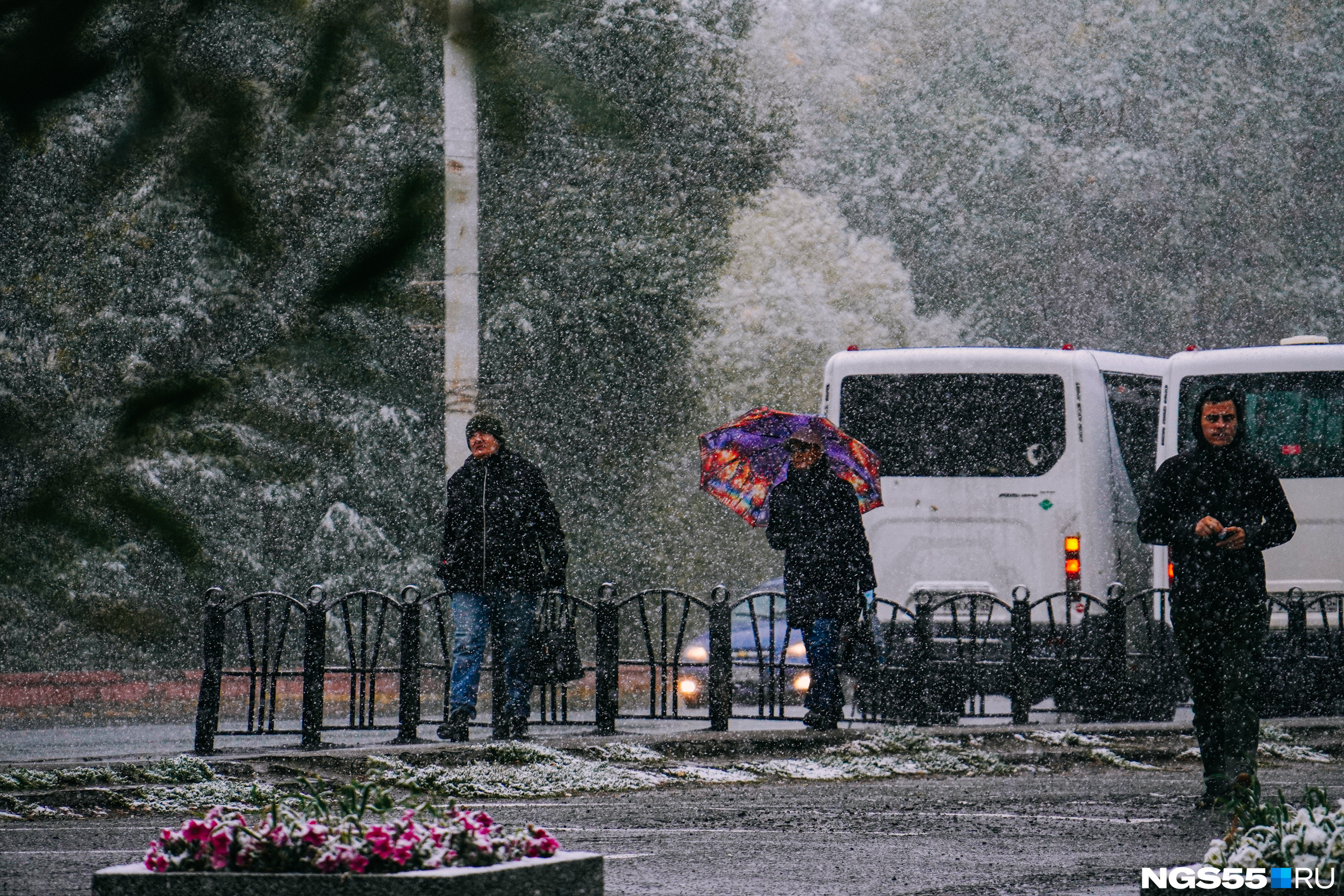 Омск осадки на сегодня. Снегопад в Омске. Дождь на улице. Улица под дождем. Снег на дороге.