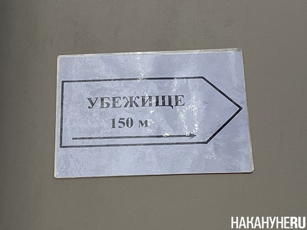 Фото: Накануне.RU