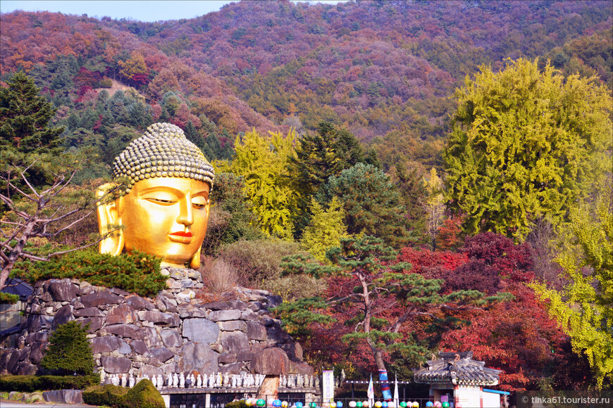 Танпхун - фольклор, этнография и лесной храм