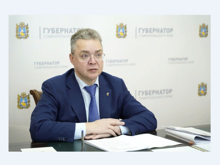 На Ставрополье в 2024 году реализуют 8 инвестпроектов по созданию глэмпигнов