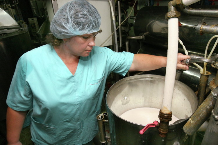  Для дальнейшего развития предприятия Мингазов планирует модернизировать простаивающий пока Аксубаевский молзавод 