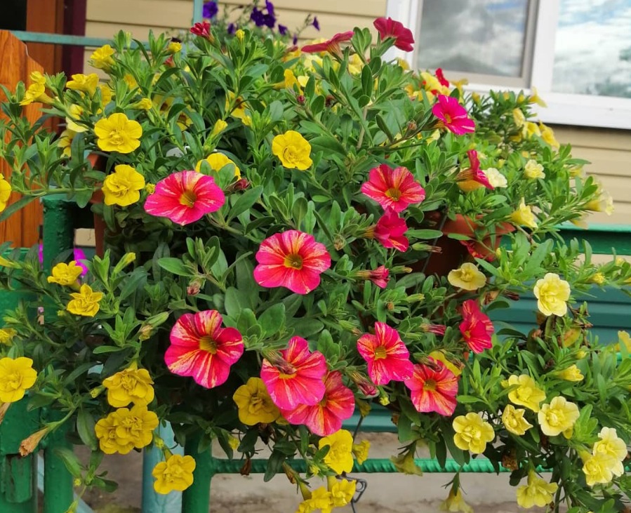 Фото из архива Евгении Ёлгиной