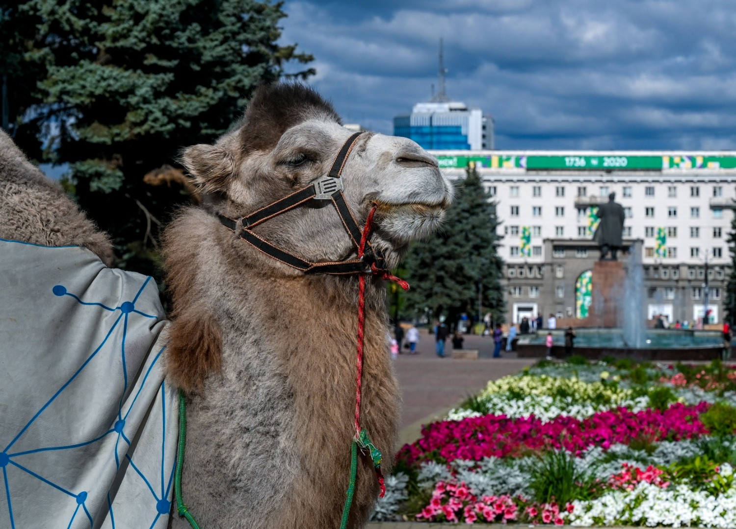 Имя челябинск