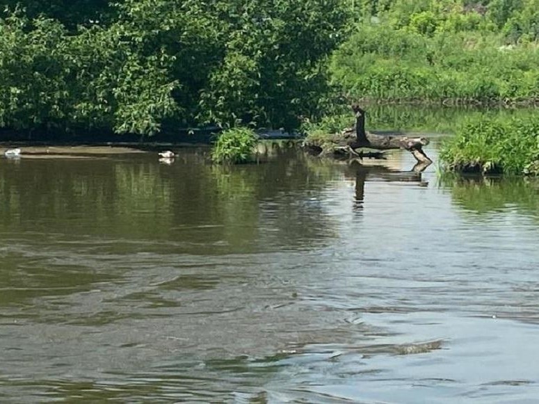 Четыре участка у Истринского водохранилища вернули государству по решению Солнечногорского суда