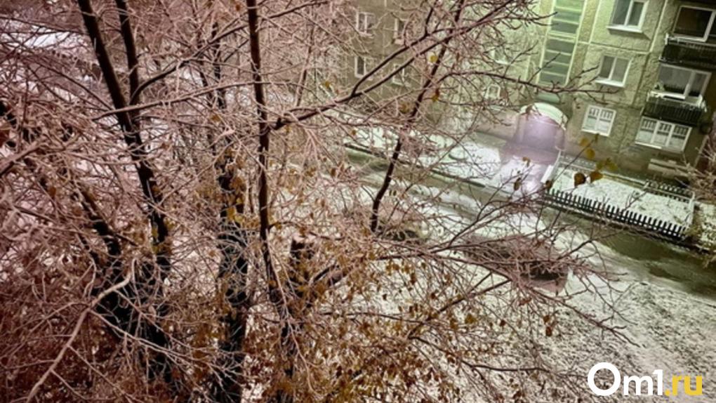 ветер в январе 2024 года. снежная буря в городе. 02. актировка якутия. омская область зимой.