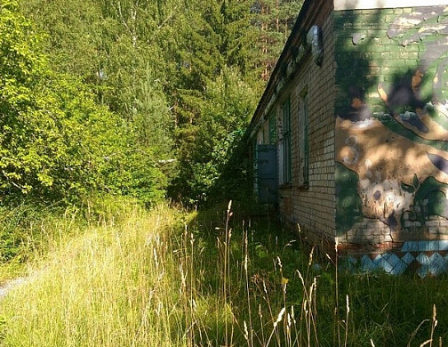  В Ивановской области вынесен приговор по делу о получении подростком электротравмы 