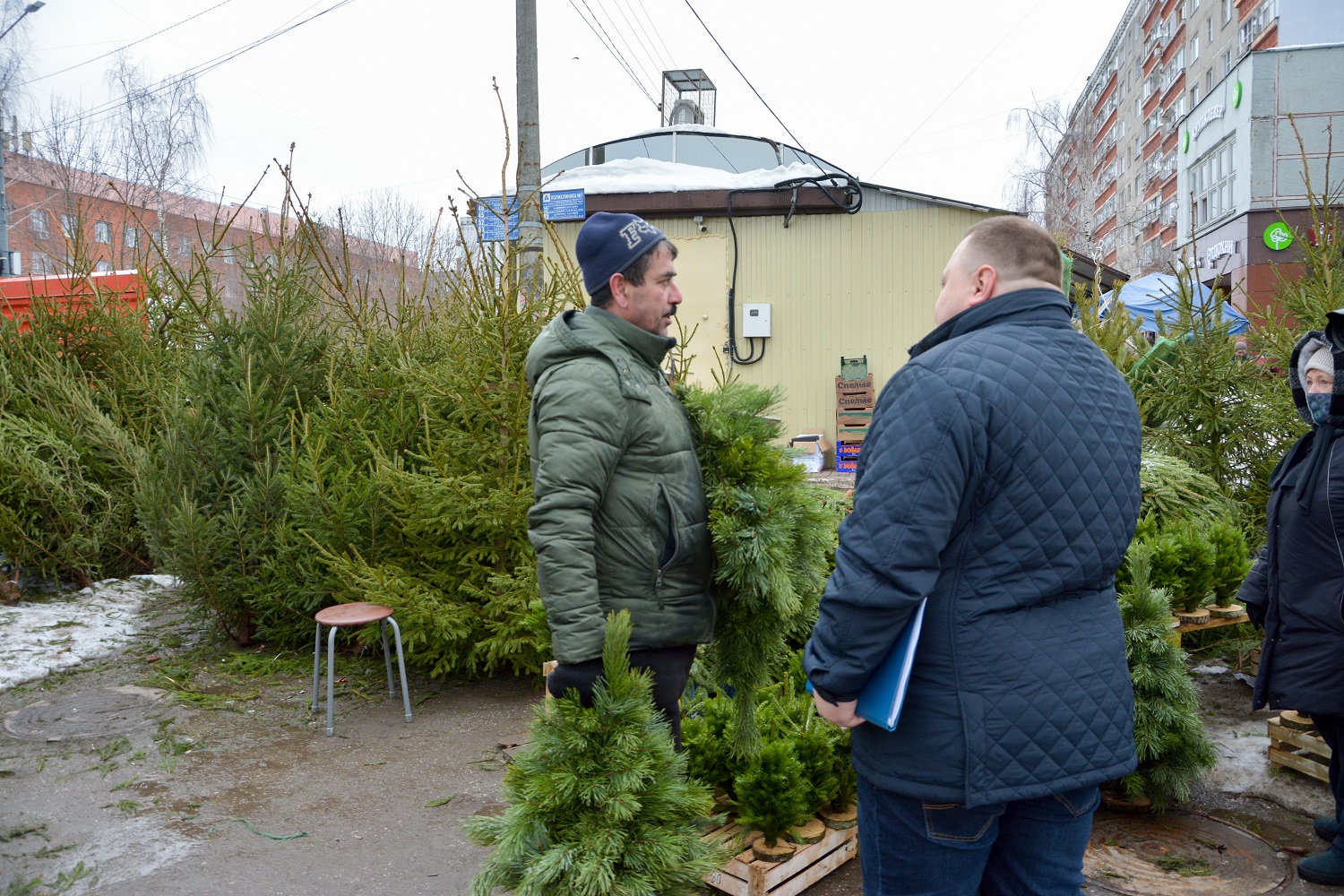 Четыре факта нелегальной торговли елками выявили в Нижнем Новгороде - фото 1