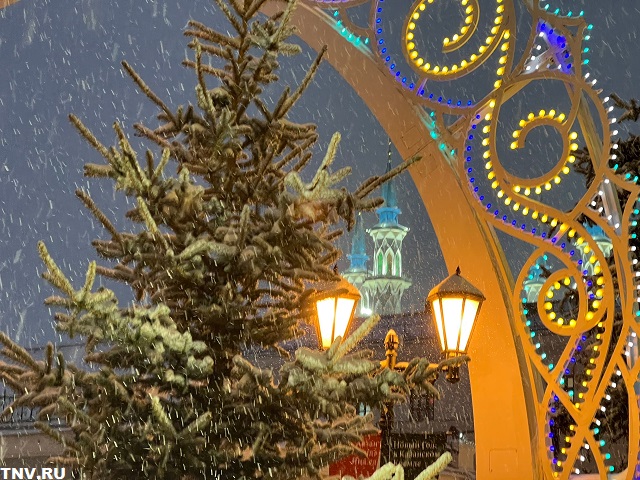 Феликс Гоголь: ожидаем, что снег в Татарстане ляжет до Нового года