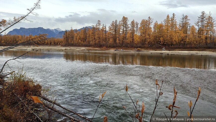 Чарские пески — самая северная пустыня