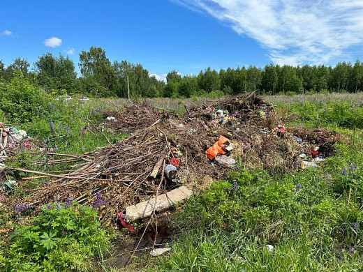 Городское кладбище в Пучеже превратилось в свинарник