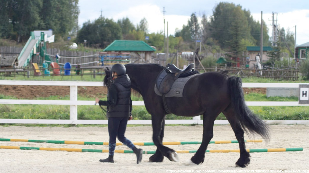 Директора центра конного спорта наказали за падение девочки с лошади