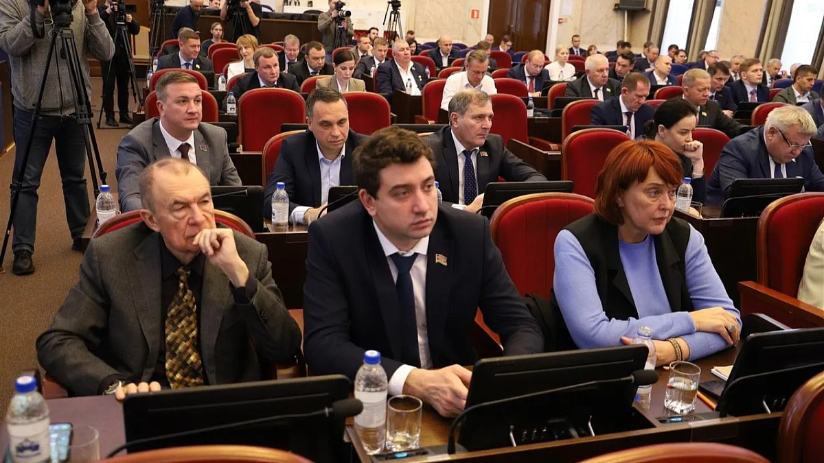 Участники СВО смогут на Кубани заготавливать древесину для себя вне очереди