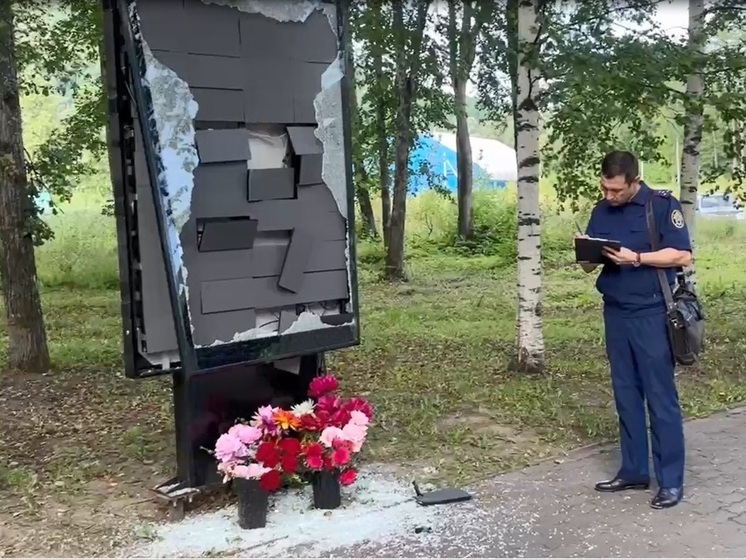 Жителя Аши арестовали за разбитый кувалдой мемориал героям СВО