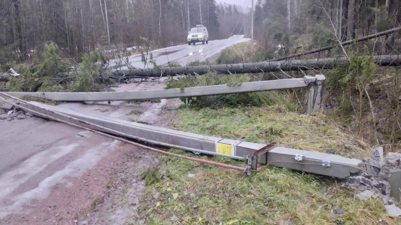 На электросетях Ленобласти из-за сильного ветра произошло 40 аварий