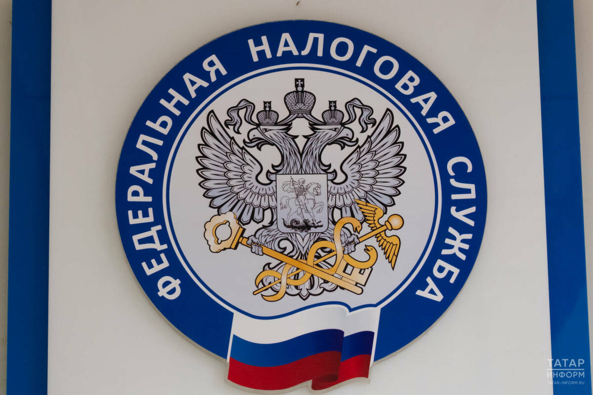 ФНС Татарстана предупредила о рисках номинального руководства