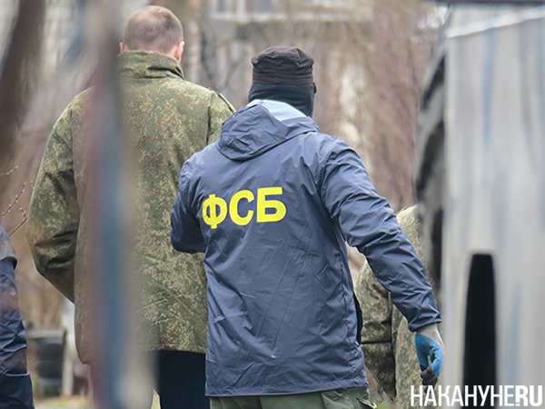 Фото: Накануне.RU