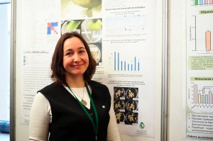 © СИФИБР СО РАН г. Иркутск