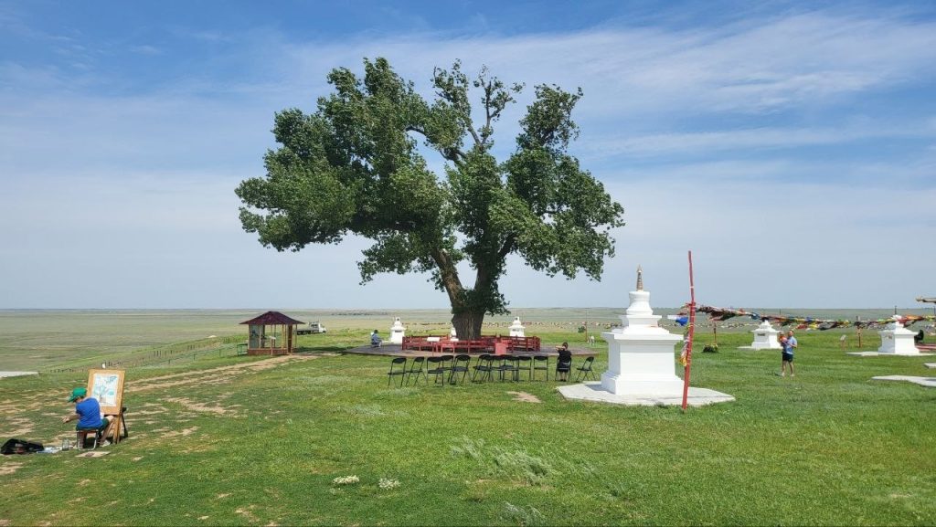 Тополь в казахстане