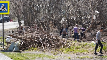 Жители города прибрались в районе Завойко в Петропавловске-Камчатском 6