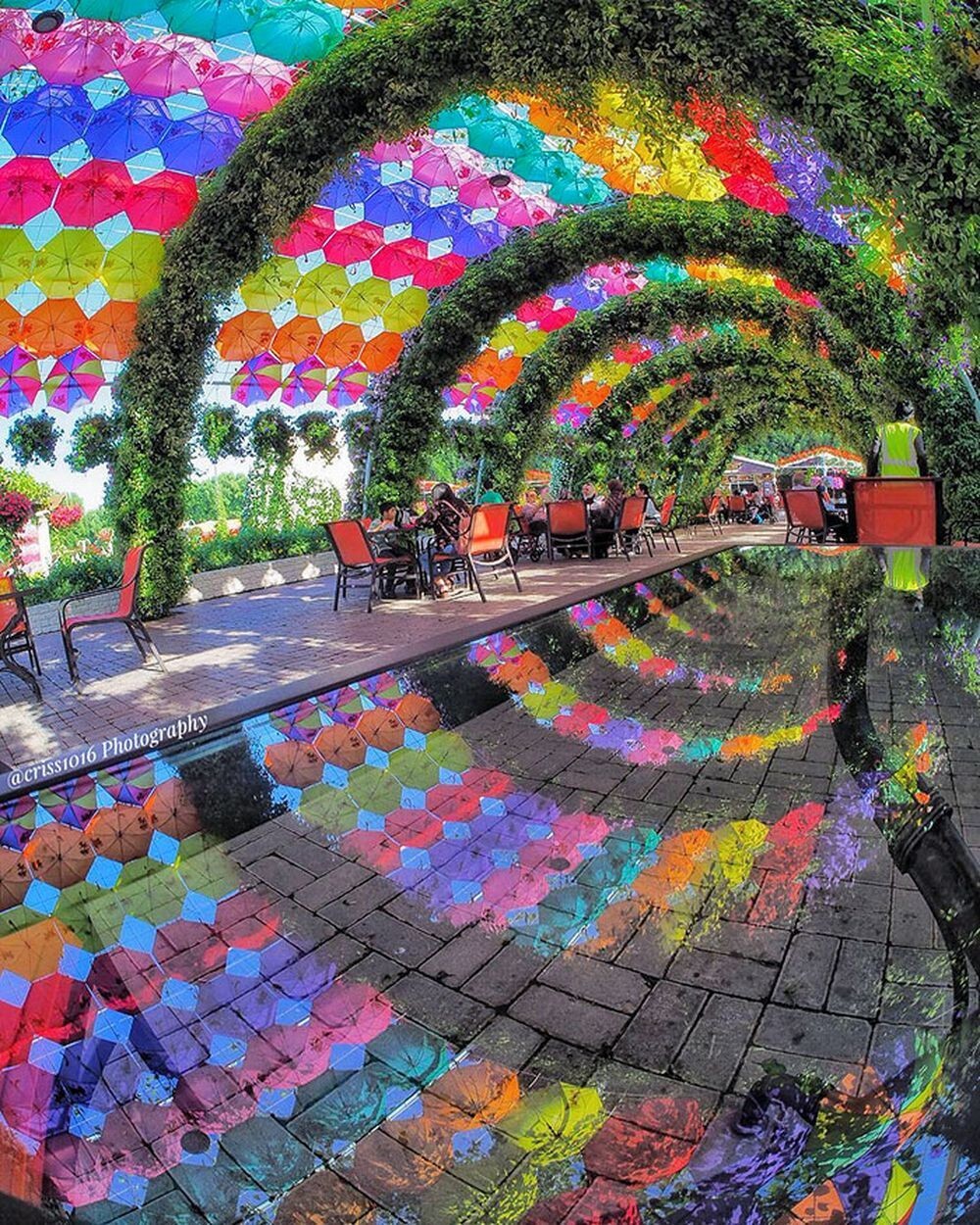 17. Потрясающее отражение зонтиков в саду Dubai Miracle Garden