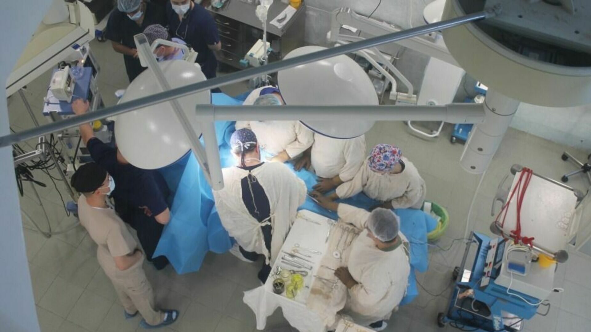 пересадка хабаровске. пересадка хабаровске. вода в больнице. трансплантация донорской почки. трансплантология почки.