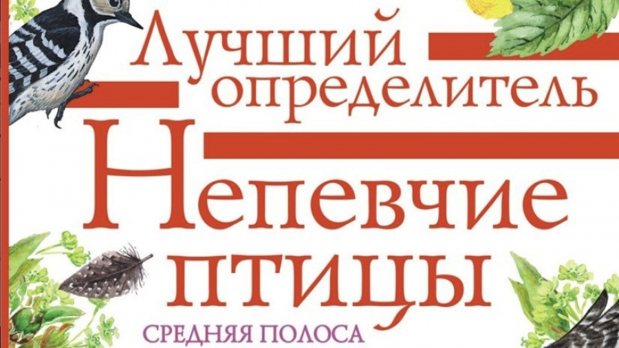 Птицы «Калужских засек» заговорили в новой книге