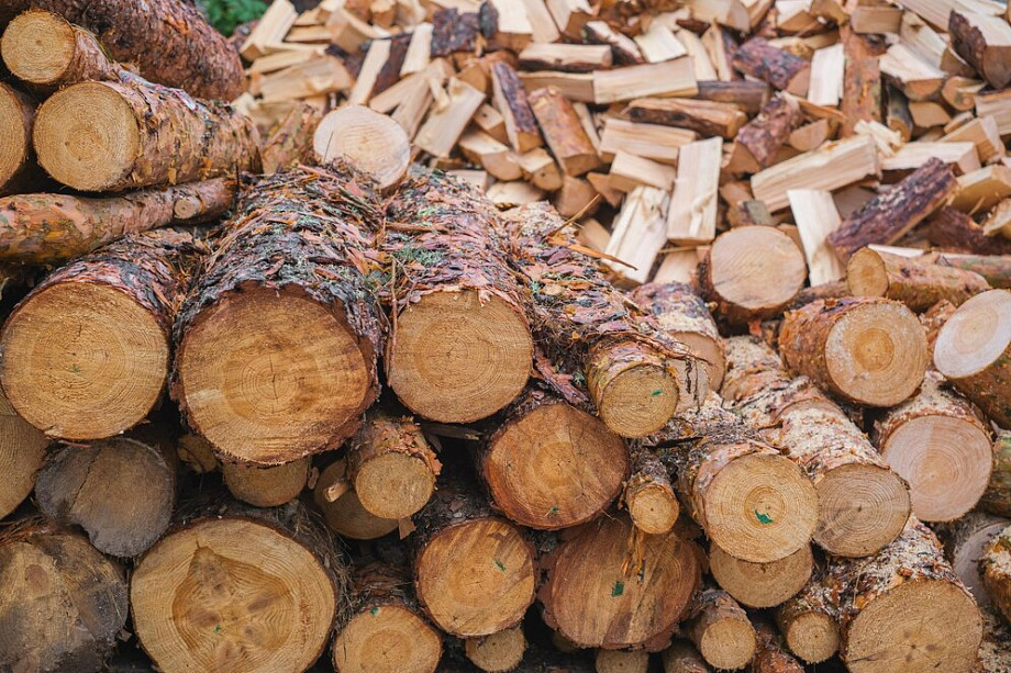 Из Владимирской области вывозилась подкарантинная продукция: бревна и пиломатериалы хвойных пород древесины 