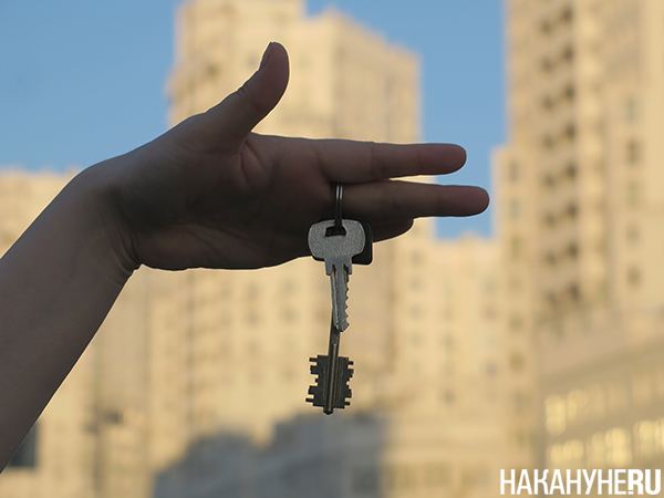 Фото: Накануне.RU