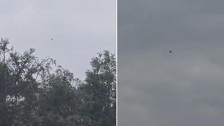 В Польше объяснили появление дронов над районами, граничащими с Украиной