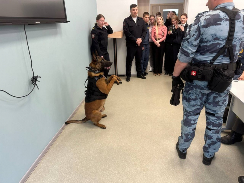 JPG Файл