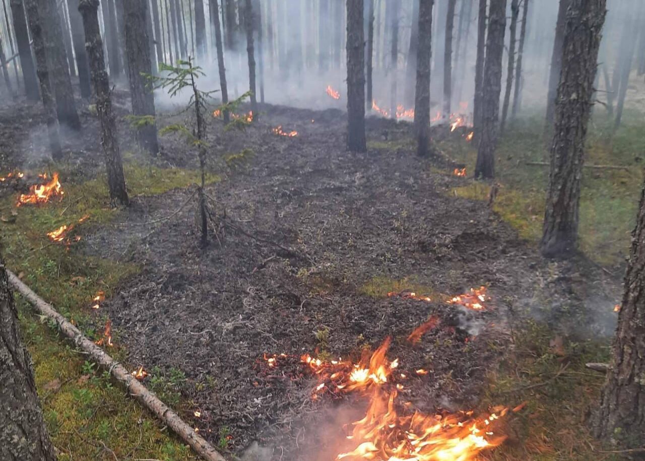 Фото: Пермский лесопожарный центр