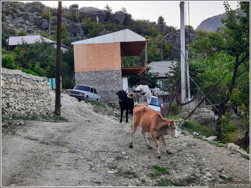 Затерянный мир Сулакского каньона