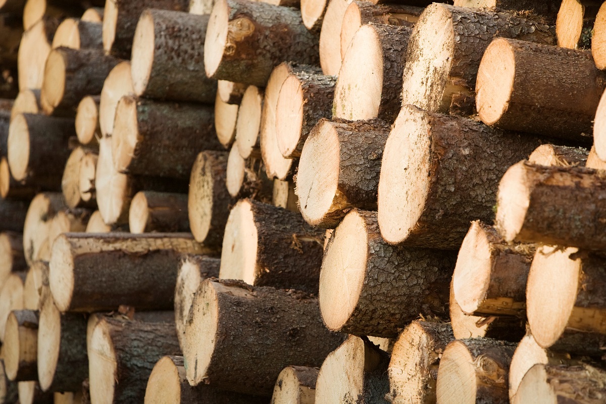 Sveaskog повышает цены на балансовую древесину