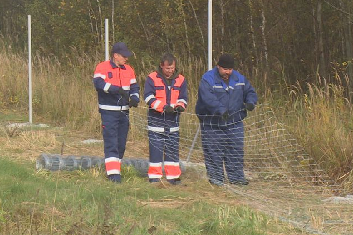 В Псковской области начали устанавливать защитные ограждения
