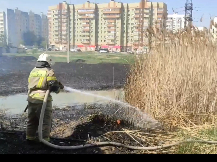 В Астрахани ликвидировали возгорание камыша и сухой растительности
