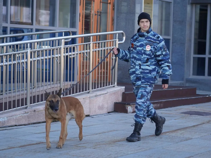JPG Файл