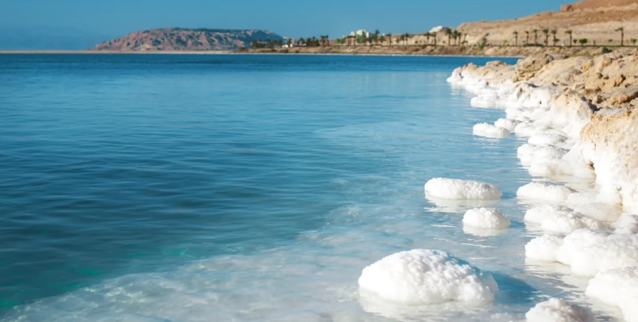 В Мертвом море обнаружили животную жизнь, несмотря на экстремальную солёность