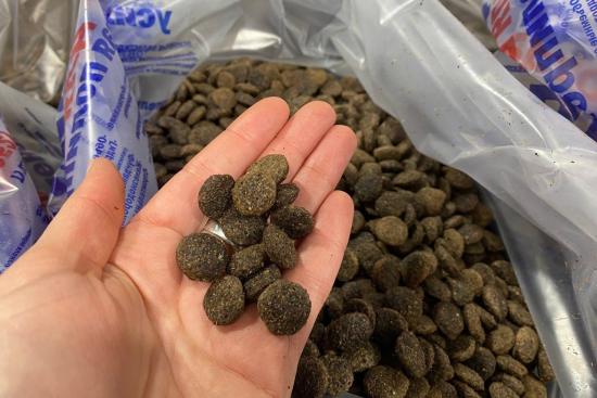 Производство кормов для домашних животных запустят в Иркутском округе